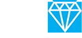 Diamon-Fusion International Logo