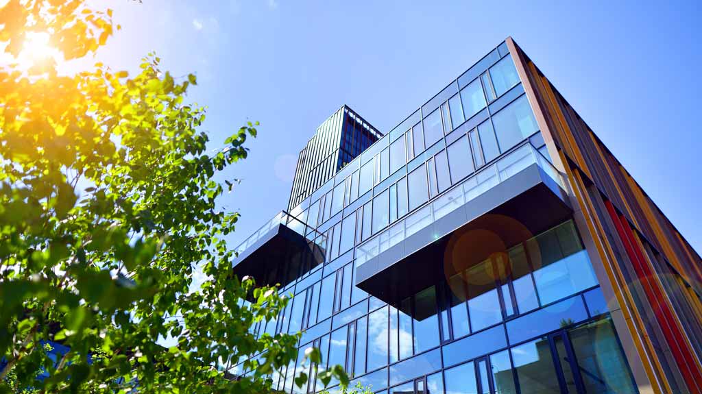 A glass and steel building next to a tree